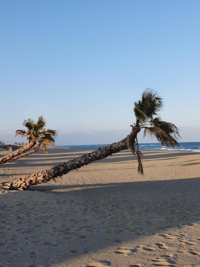 Reve Mediterraneen, La Vie De Chateau Le Barcarès Dış mekan fotoğraf